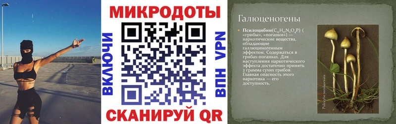 Псилоцибиновые грибы GOLDEN TEACHER дарнет шоп Звенигово