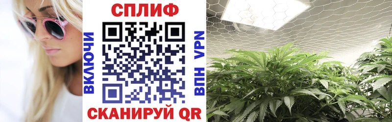 Бошки марихуана Ganja  как найти закладки  Звенигово 